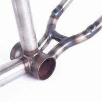 Cult Corey Walsh Frame - Raw No Finish