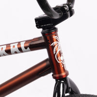 Federal Boyd ICS2 18" Bike - Matt Trans Brown head tube sticker