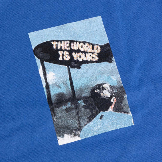 Fiend lewis mills twiy2 blue bmx t-shirt backyard bmx
