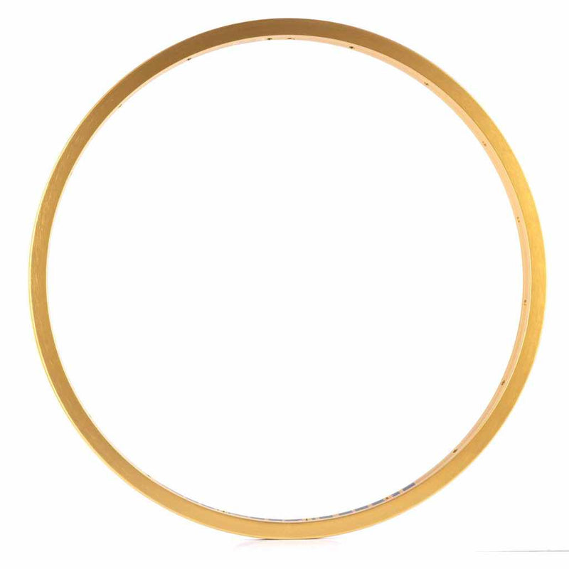 side view of a Gold Alienation TCS Felon rim photographed on a white background