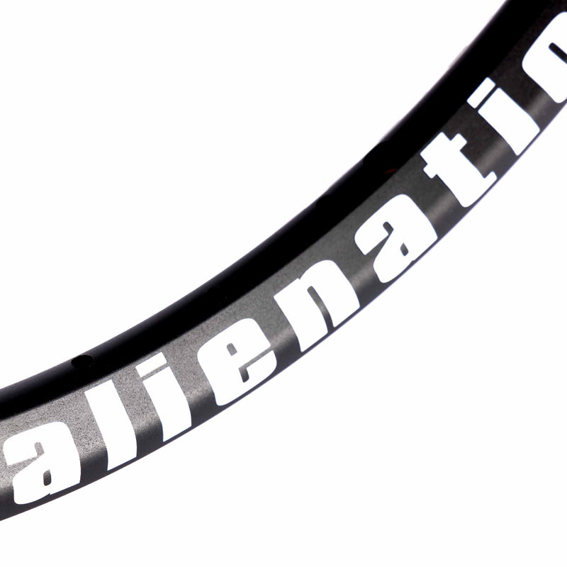 Alienation Mischief TCS Rim - Matt Black 36 Hole