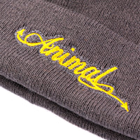 Animal Bikes Tails Beanie - Grey