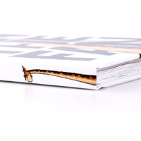 Stack of books with a cover featuring a long snake illustration on a white background
