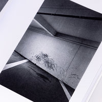 Ben Gea Emulsion Book inside image detail