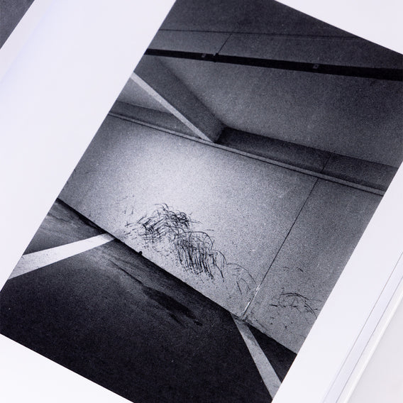 Ben Gea Emulsion Book inside image detail