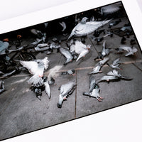 Ben Gea Emulsion Book image detail