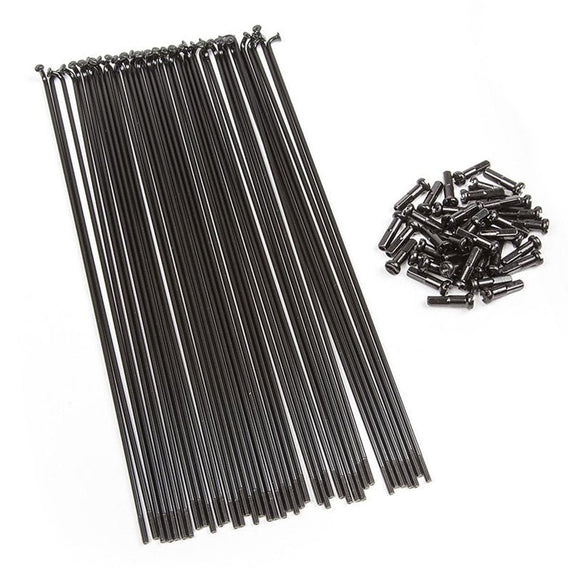 BSD Regular Spokes And Nipples - Black