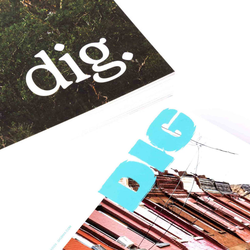 Dig BMX magazine bundle