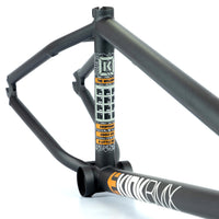 Kink Williams x Etnies Frame - Matt Golden Graphite seat tube graphics