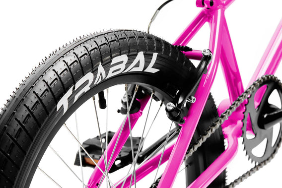 Tribal Clan V2 20" BMX - Raspberry